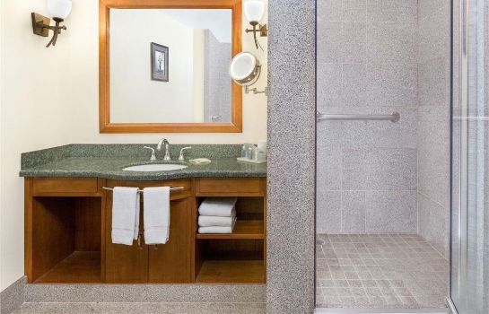 Hotel Wyndham Garden Baronne Plaza N New Orleans Great Prices