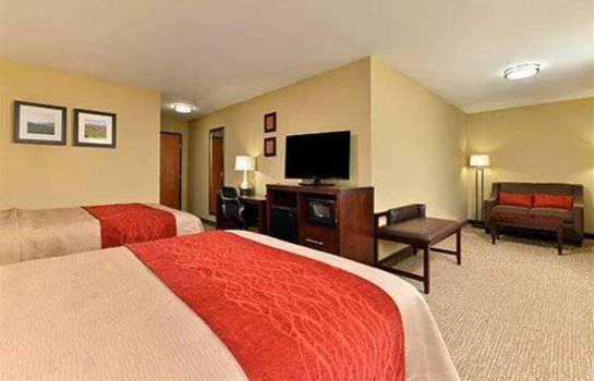 Comfort Inn And Suites Manheim Lebanon In Lancaster Great