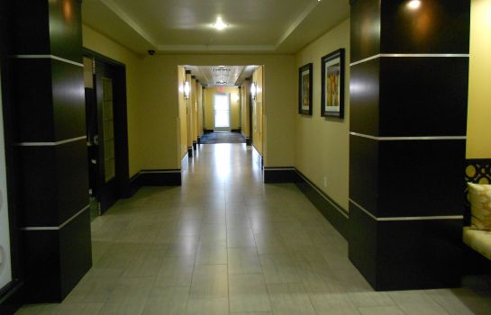 Hotelhalle Holiday Inn Express & Suites CORPUS CHRISTI (NORTH)