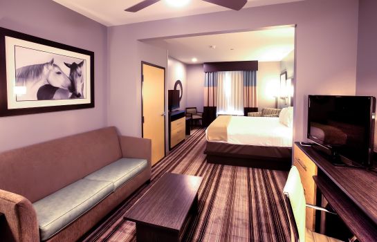 Suite Holiday Inn Express & Suites AMARILLO WEST