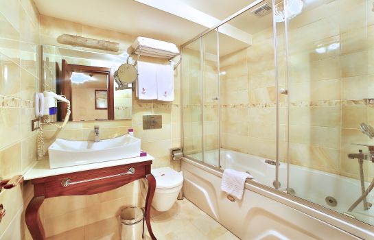 Amethyst Hotel Istanbul Great Prices At Hotel Info