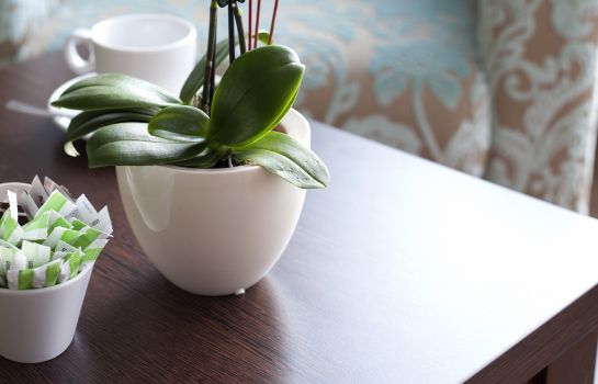 Hotel Kedi Papenburg Great Prices At Hotel Info