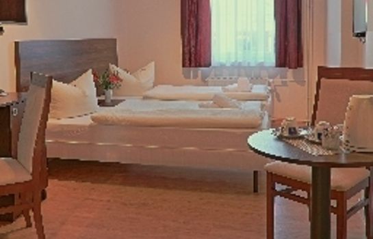 Double room (standard) Hotel City Residence