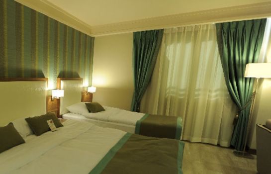 Einzelzimmer Standard Adana Plaza Otel