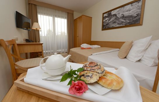 Einzelzimmer Standard Hotel Alpejski
