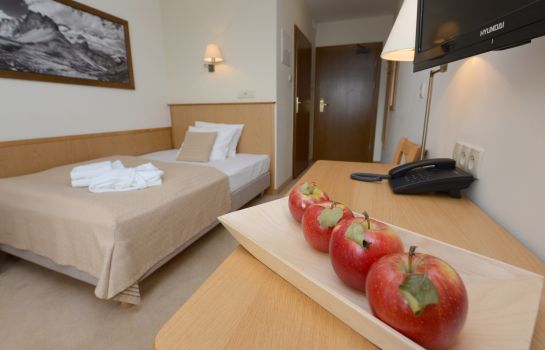 Einzelzimmer Standard Hotel Alpejski