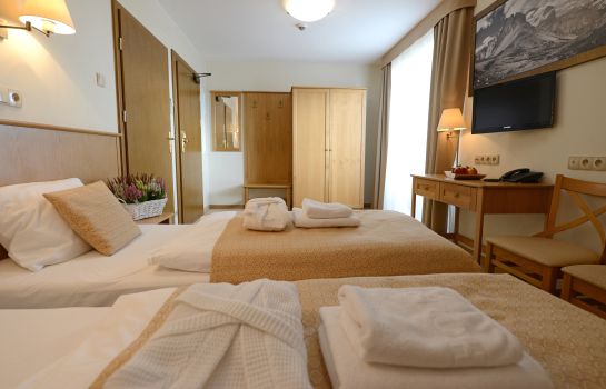 Doppelzimmer Standard Hotel Alpejski