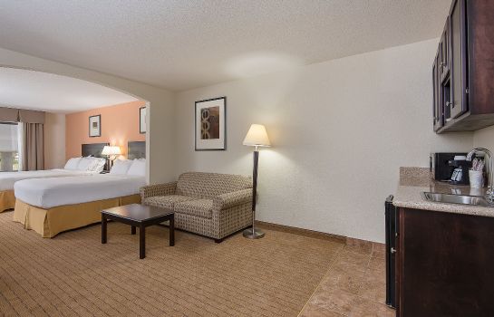 Suite Holiday Inn Express & Suites LAFAYETTE EAST