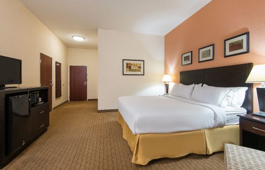 Room Holiday Inn Express & Suites LAFAYETTE EAST