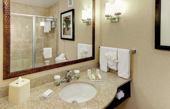 Hilton Garden Inn El Paso Airport Great Prices At Hotel Info