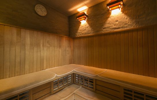 Sauna Nishitetsu Inn Kokura