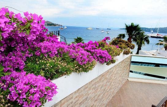 Costa Blu Hotel Bodrum Great Prices At Hotel Info