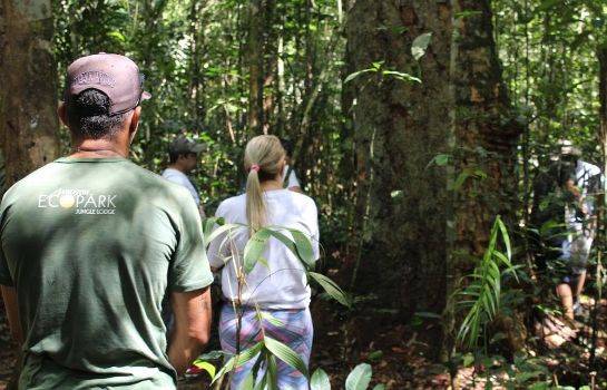Hotel Amazon Ecopark Jungle Lodge - Tarumã – Great prices at HOTEL INFO