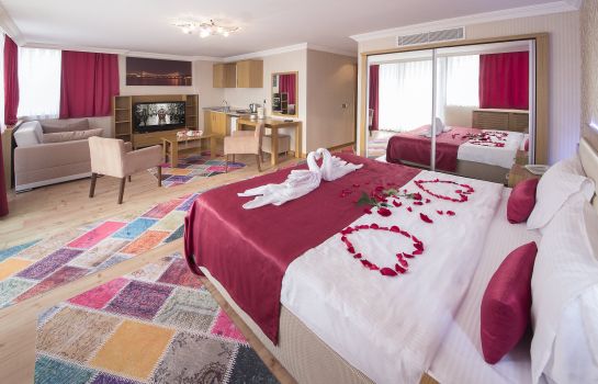 Hotel Grand Zentrum Istanbul Great Prices At Hotel Info