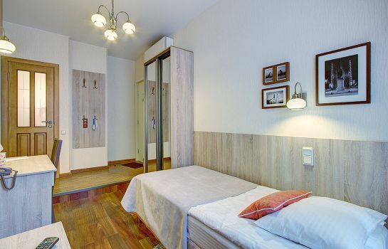 Single room (standard) Davidov Guest House