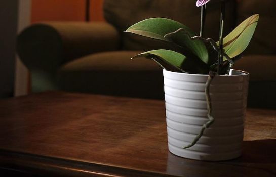 Hotel Immagineazione B B In Naples Great Prices At Hotel Info