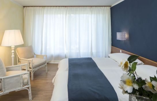 Double room (standard) Hotel La Barca Blu Locarno