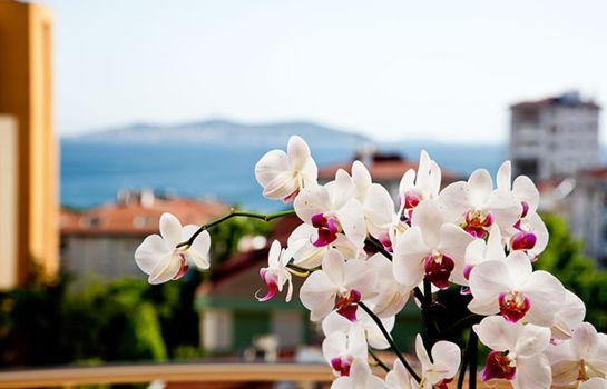 One Istanbul Hotel Suadiye Great Prices At Hotel Info