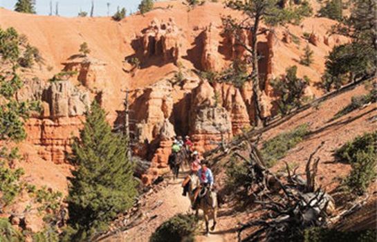 Info Best Western Plus Bryce Canyon Grand Hotel