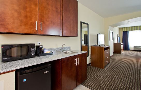 Suite Holiday Inn Express & Suites DENVER EAST-PEORIA STREET