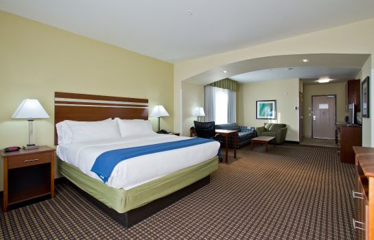 Suite Holiday Inn Express & Suites DENVER EAST-PEORIA STREET
