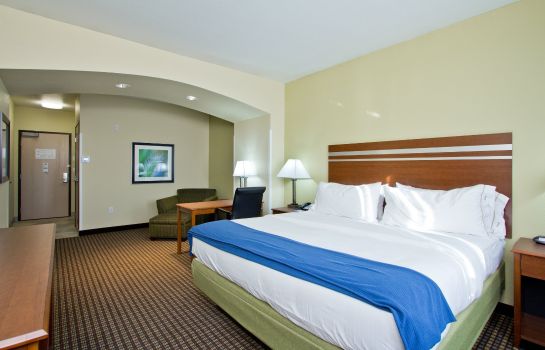 Zimmer Holiday Inn Express & Suites DENVER EAST-PEORIA STREET