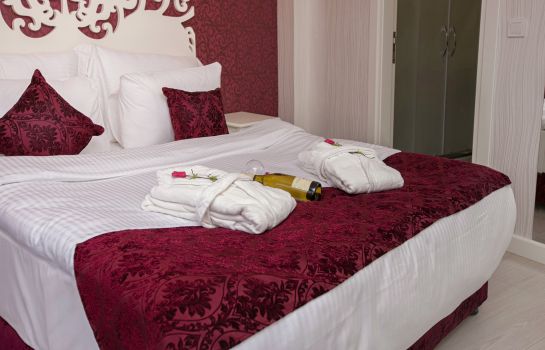 Dream Bosphorus Hotel In Istanbul Great Prices At Hotel Info