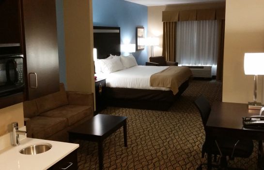 Suite Holiday Inn Express & Suites ATASCOCITA - HUMBLE - KINGWOOD