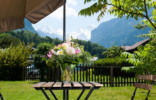 Terrasse Alpine-Inn by Jungfrau Hotel