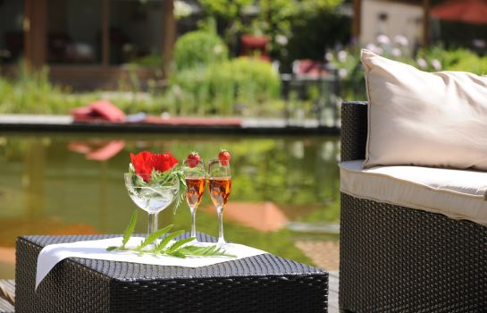 Hotel Wellnessgarten In Waging Am See Hotel De