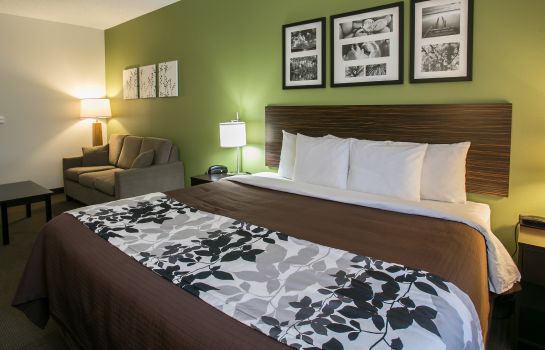 Room Sleep Inn and Suites Dripping Springs