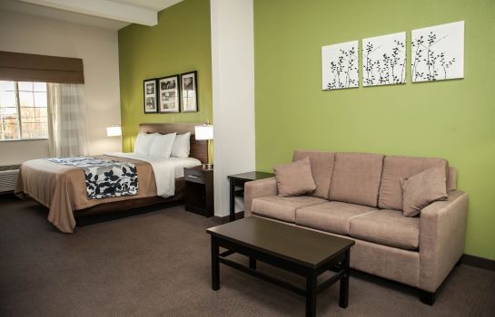 Suite Sleep Inn and Suites Harrisburg - Hershe