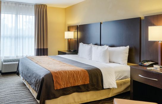Room Comfort Inn and Suites Lexington Park