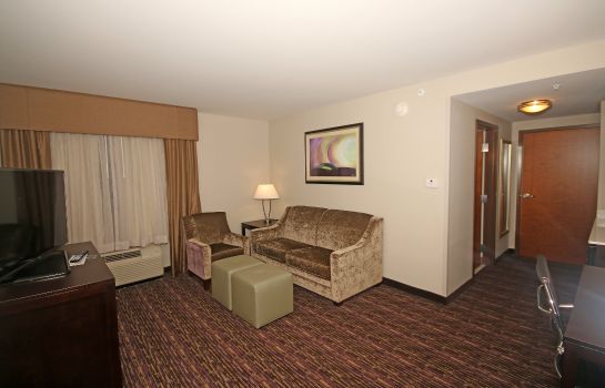 Zimmer Holiday Inn Express & Suites CHARLOTTE NORTH