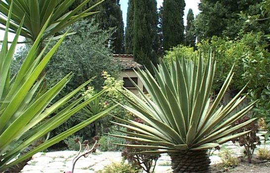 Garten Villa Tasca