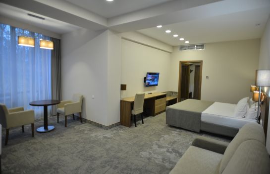 Pokój jednoosobowy (komfort) Alfa Business-Hotel