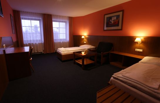 Doppelzimmer Standard Hotel Hajcman
