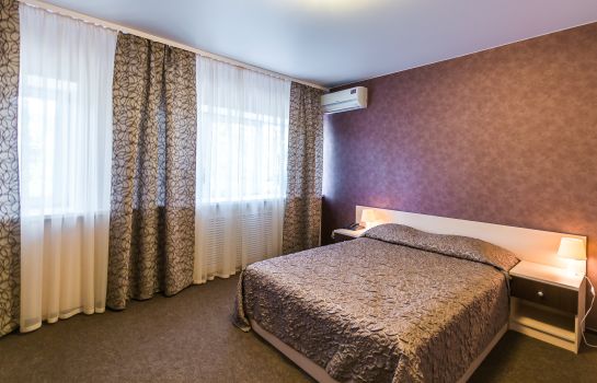 Double room (standard) Hotel Orion