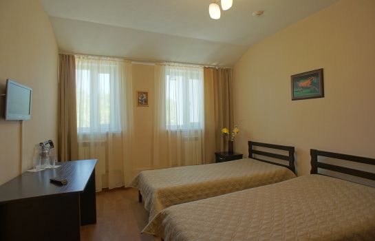 Single room (standard) Slavyanka Hotel