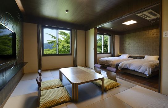 Doppelzimmer Standard Odakyu Hakone Lake Hotel