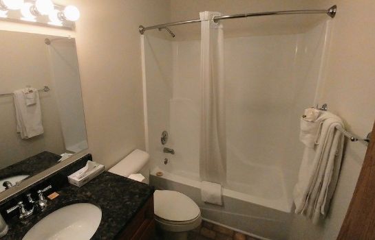 Bathroom Alexis Park Inn & Suites