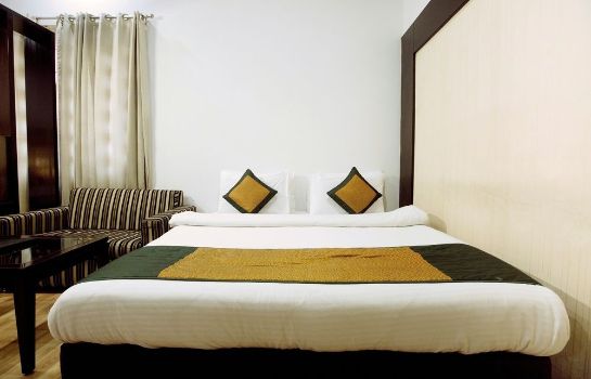 Habitación estándar Hotel Krishna New Delhi