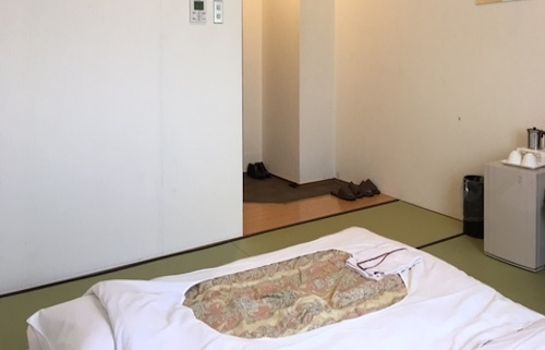 Pokój dwuosobowy (standard) Hotel Tsukuba Hills Umezonoten(BBH Hotel Group)
