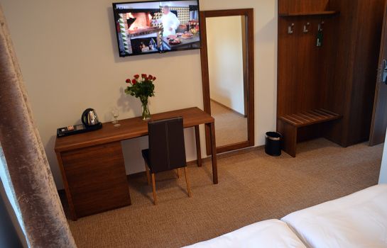 Double room (standard) Hotel U Kvapilů