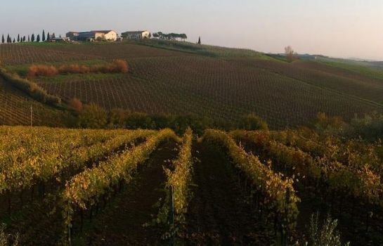 Bild Agriturismo Streda Wine & Country Holiday