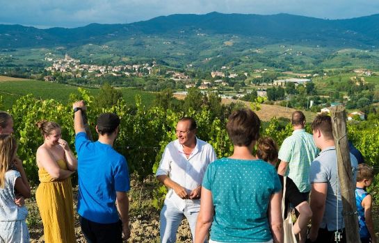 Info Agriturismo Streda Wine & Country Holiday