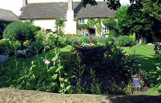 Hotel Exmoor Owl Hawk Centre Minehead West Somerset Great Prices At Hotel Info