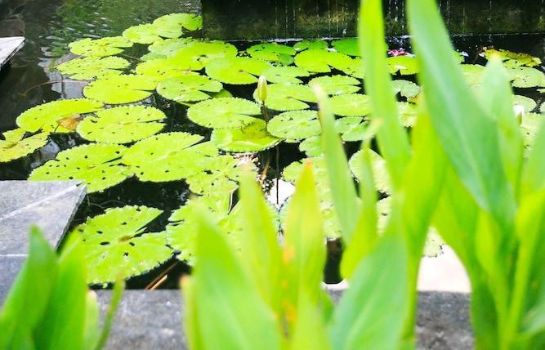 Legian Paradiso Hotel Great Prices At Hotel Info