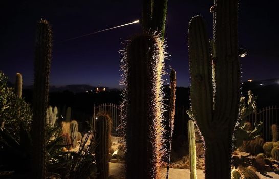Umgebung Relais Garden Cactus B&B