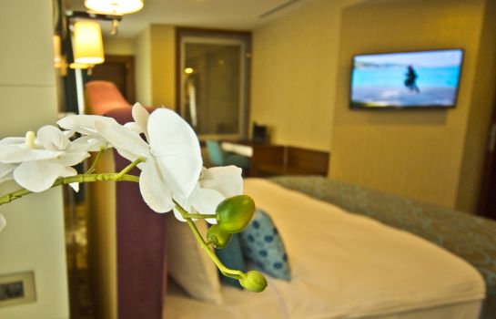 Mard Inn Hotel Istanbul Great Prices At Hotel Info